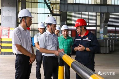 凌玉强深入企业调研生态环保工作 强调生态环境材料销售的重要性与创新方向